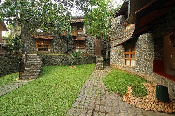 Wildernest